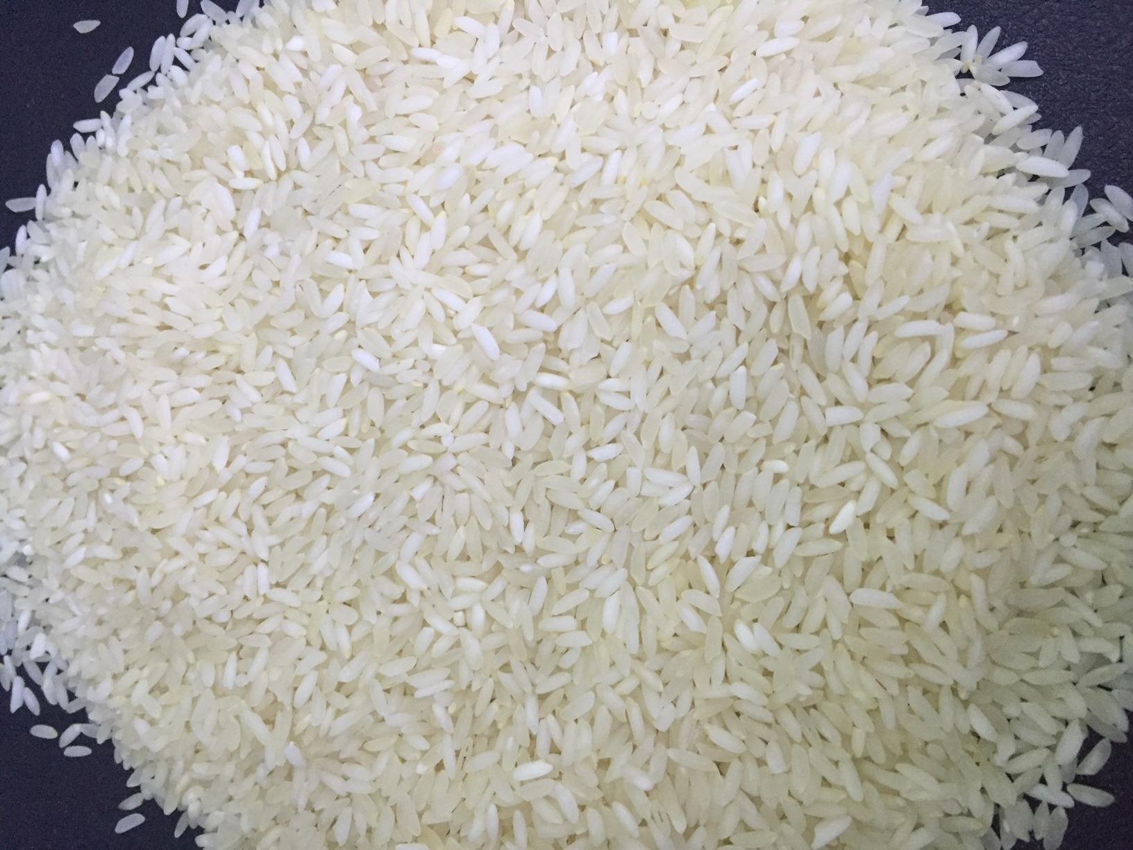 Sona Masoori Steam Rice
